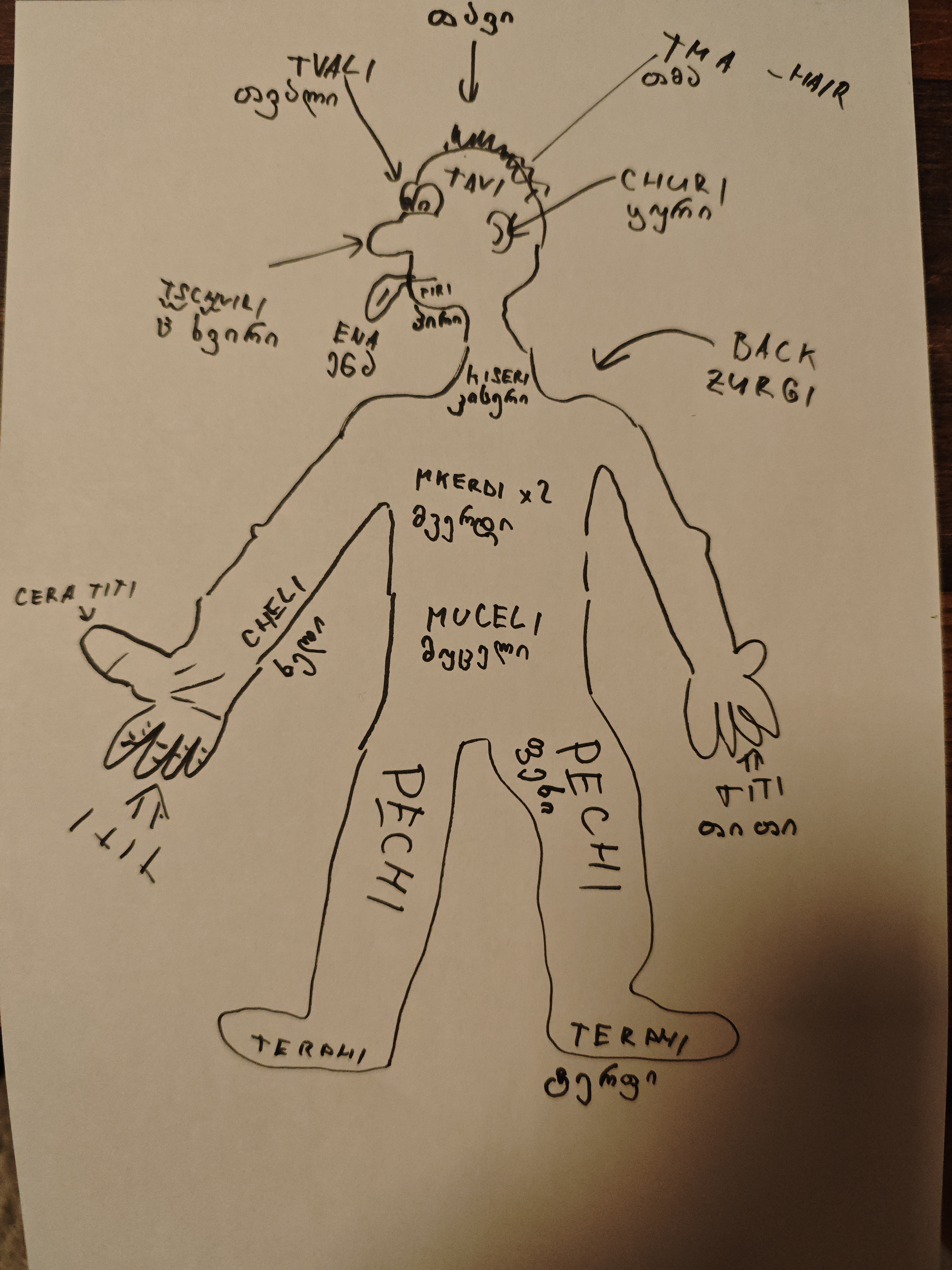 Body parts